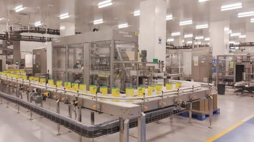 聯(lián)合利華廣州食品工廠投產(chǎn) 技術驅(qū)動全品類食品智能制造新標桿